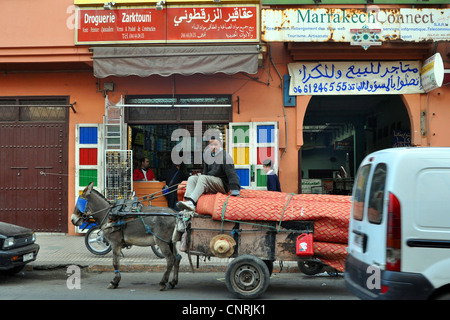 Donkey and cart, Marrakech, Morocco North Africa Stock Photo