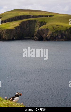 Fair isle hi-res stock photography and images - Alamy