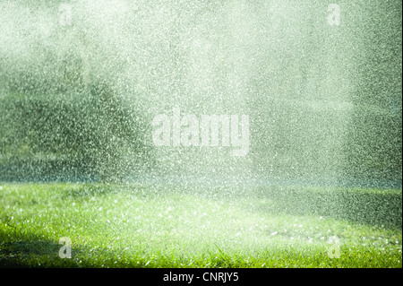 Rain falling on grass Stock Photo