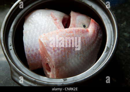 Chopped raw fish in pot Stock Photo