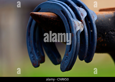 Horse shoes on farriers anvil Stock Photo