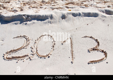 Year 2013 hand written on the white sand in front of the sea Stock Photo