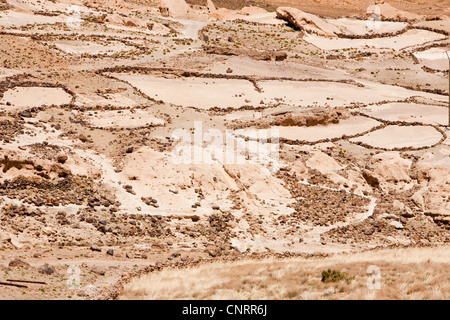 Field terraces above a Berber village in the Anti Atlas mountains of Morocco, North Africa Stock Photo