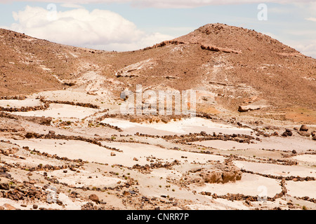Field terraces above a Berber village in the Anti Atlas mountains of Morocco, North Africa. Stock Photo