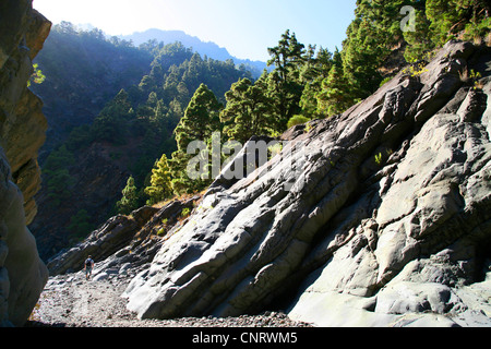 mountain scenery on the island of La Palma, Canary Islands Stock Photo