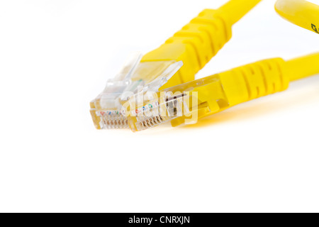 Yellow network cable isolated on white background Stock Photo