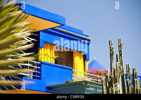 The Marjorelle Gardens in Marrakech, Morocco, North Africa Stock Photo