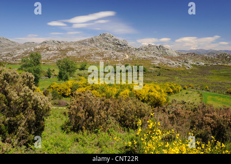mountain landscape at the edge of Serra Geres National Park in Portugal, Portugal, Nationalpark Serra Geres Stock Photo