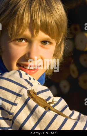 viviparous lizard, European common lizard (Lacerta vivipara, Zootoca vivipara), child with lizard on his shoulder, Germany Stock Photo