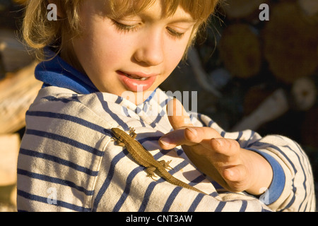 viviparous lizard, European common lizard (Lacerta vivipara, Zootoca vivipara), child with lizard on his shoulder, Germany Stock Photo