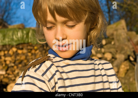 viviparous lizard, European common lizard (Lacerta vivipara, Zootoca vivipara), child with lizard on his shoulder, Germany Stock Photo