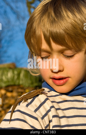 viviparous lizard, European common lizard (Lacerta vivipara, Zootoca vivipara), child with lizard on his shoulder, Germany Stock Photo