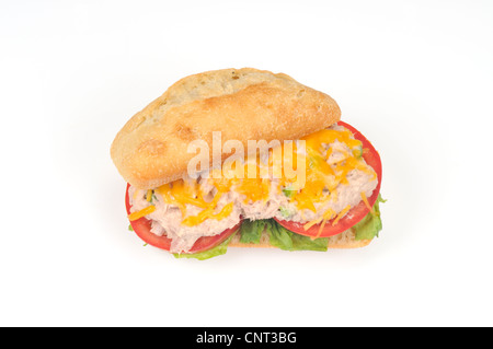 Tuna melt sandwich on a ciabatta roll Stock Photo