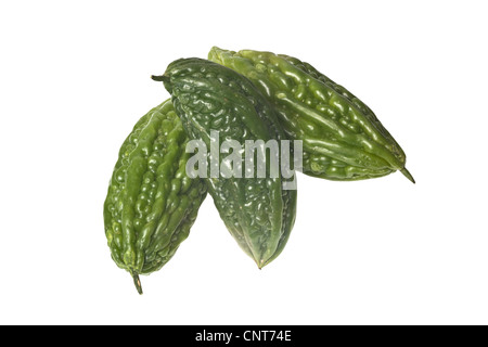Tropical fruit - Three whole bitter melons isolated on white background Stock Photo