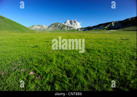 wide valley covered with meadows in front of high mountain range, Italy, Abruzzo Stock Photo