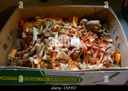 Vegetable peelings in cardboard box Stock Photo