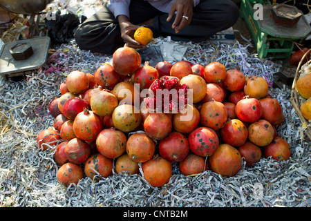 Fresh pomegranates in market Stock Photo