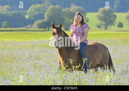 Woman on back of a Paso Fino horse in a flower meadow Stock Photo