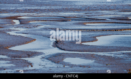 Tidal pools and tributaries at low tide Stock Photo