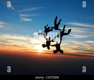 Members of the US Air Force Academy jump team, Wings of Blue, set a world collegiate skydiving record when 46 jumpers linked together March 31, 2012, at Gila Bend Auxiliary Field, AZ. Stock Photo