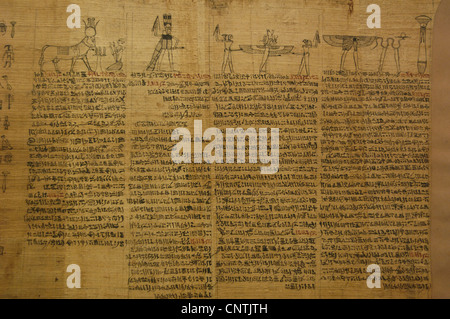 Book of the Dead. Fragment of a papyrus with a diagram of the distribution of funerary amulets on the mummy. Ptolemaic Period. Stock Photo