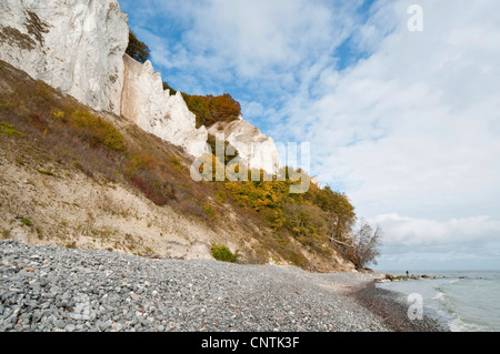 chalk cliffs on Moen Island, Denmark, Moen Stock Photo