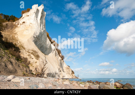 chalk cliffs on Moen Island, Denmark, Moen Stock Photo