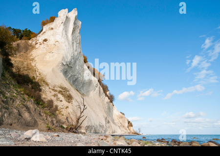 chalk cliff on Moen Island, Denmark, Moen Stock Photo