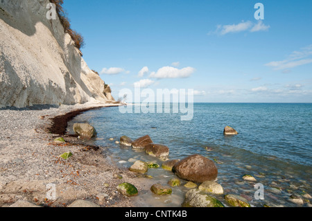 chalk cliff and coast on Moen Island, Denmark, Moen Stock Photo