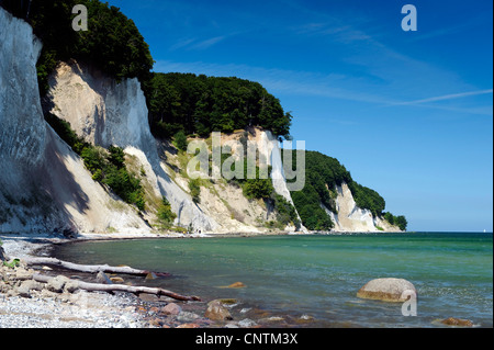chalk cliff in Jasmund National Park, Germany, Mecklenburg-Western Pomerania, Jasmund National Park, Ruegen Stock Photo