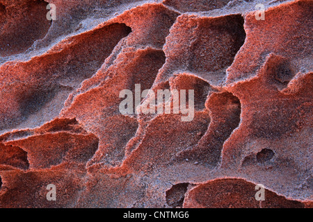 sandstone, detail, USA, Arizona, Coyote Buttes North Stock Photo
