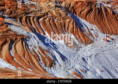 sandstone, detail, USA, Arizona, Coyote Buttes North Stock Photo