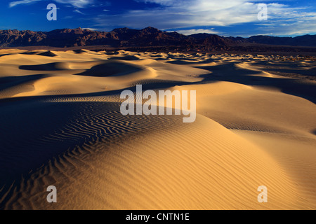 Mesquite Flats Sand Dunes, USA, California, Death Valley National Park Stock Photo