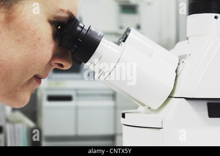 Scientist looking through microscope Stock Photo