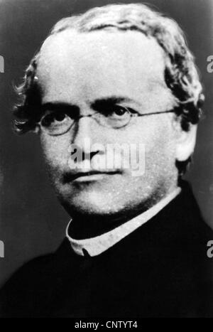 GREGOR MENDEL (1822-1884) Austrian priest who pioneered the study Stock ...