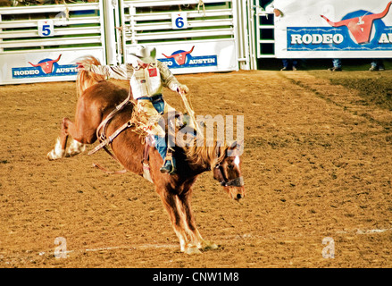 Bucking horse competition during Rodeo Austin 2009. Stock Photo