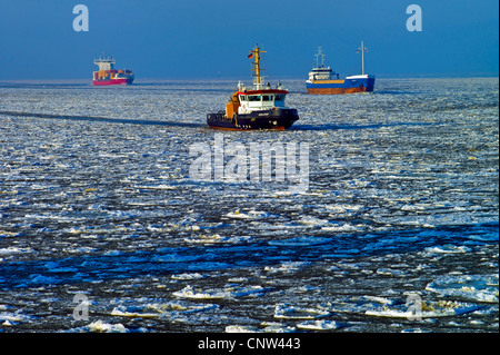 three ships on the Lower Elbe at Cuxhaven covered with drift ice, Germany, Lower Saxony Stock Photo