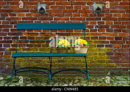 true English primrose (Primula acaulis, Primula vulgaris), bench in front of red brickwall wit two baskets with yellow primroses and eggs serving as Easter decoration Stock Photo