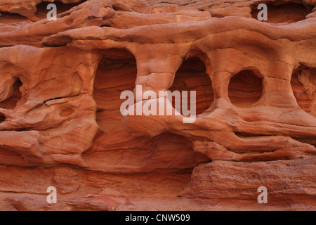 sandstone formations in Colored Canyon, Egypt, Sinai Stock Photo