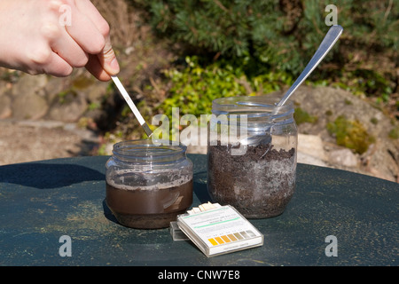 ph value of a sample of the soil ist tested with litmus paper, Germany Stock Photo