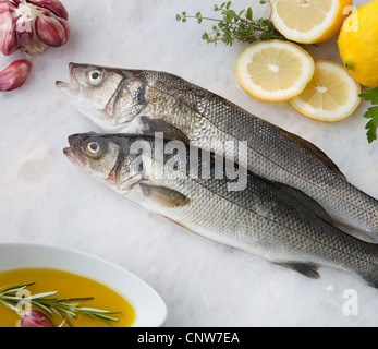 Sea bass with lemon, olive oil and herbs
