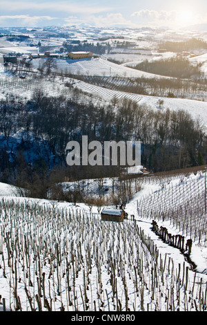 Trees growing on snowy rural hillside Stock Photo