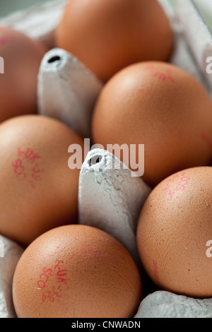 half dozen eggs from supermarket UK Stock Photo