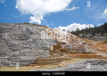 travertine terraces at Mammoth Hot Springs, USA, Wyoming, Yellowstone National Park Stock Photo