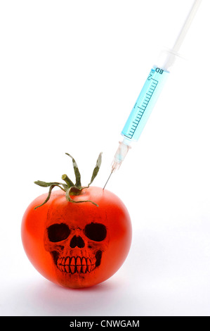tomato (Lycopersicon lycopersicum), GMO tomato with skull and injection Stock Photo