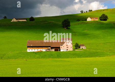 farmhouses and green pastures, Switzerland, Kanton Appenzell