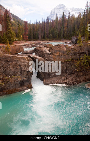 Natural Bridge of Kicking Horse River, Canada, British Columbia, Yoho National Park Stock Photo