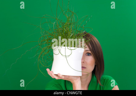Lesser Corkscrew Rush, Corkscrew Rush (Juncus effusus Spiralis, Juncus effusus 'Spiralis', Juncus effusus f. spiralis, Juncus spiralis), young woman covering half her face with a potted plant Stock Photo