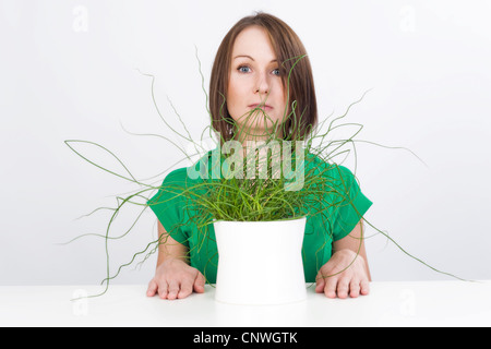 Lesser Corkscrew Rush, Corkscrew Rush (Juncus effusus Spiralis, Juncus effusus 'Spiralis', Juncus effusus f. spiralis, Juncus spiralis), young woman sitting at table stiffly behind a potted plant Stock Photo