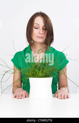 Lesser Corkscrew Rush, Corkscrew Rush (Juncus effusus Spiralis, Juncus effusus 'Spiralis', Juncus effusus f. spiralis, Juncus spiralis), young woman stiffly sitting at table watching a potted plant in front of her Stock Photo